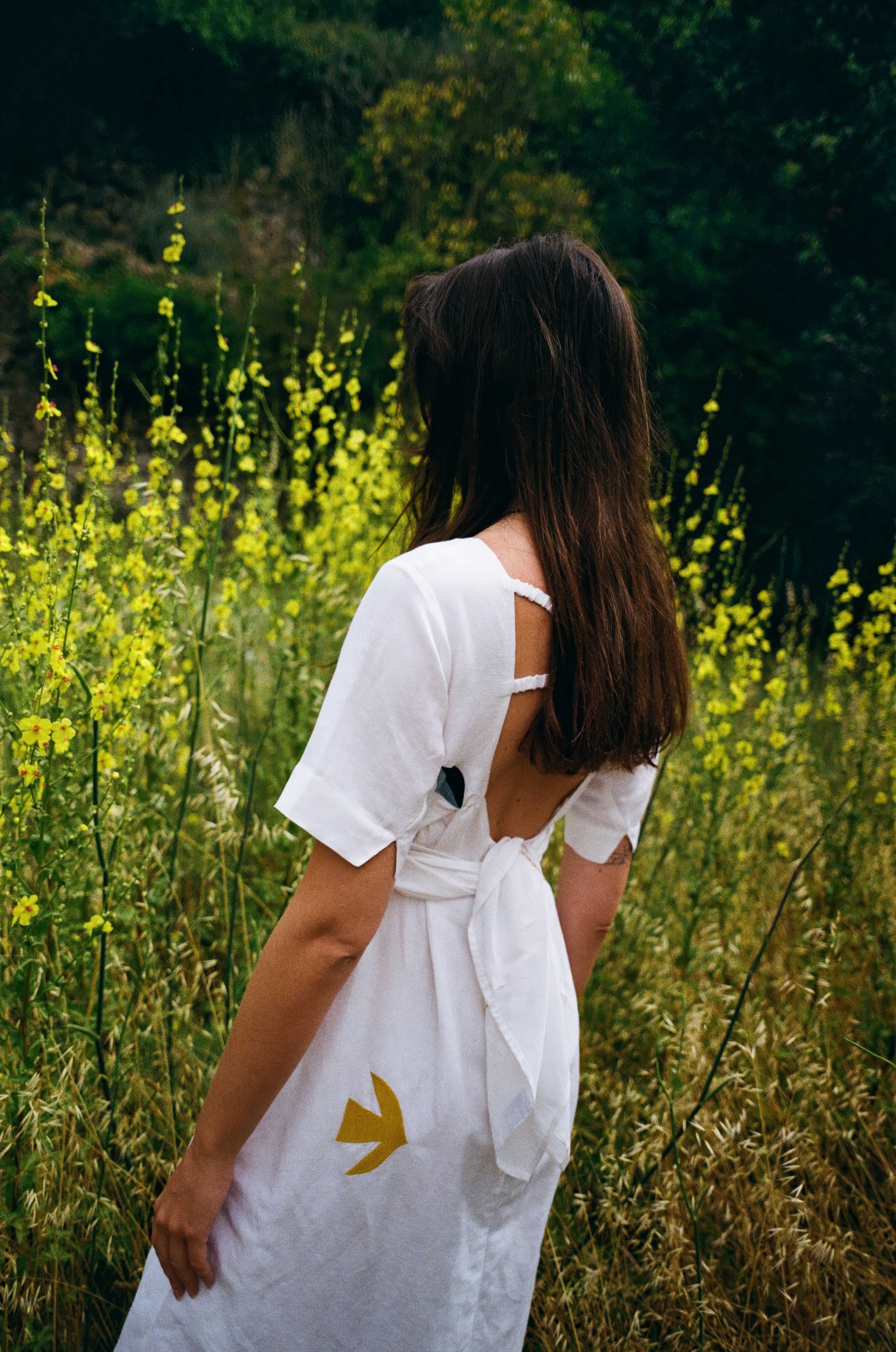 VESTIDO BANES EMBROIDERY